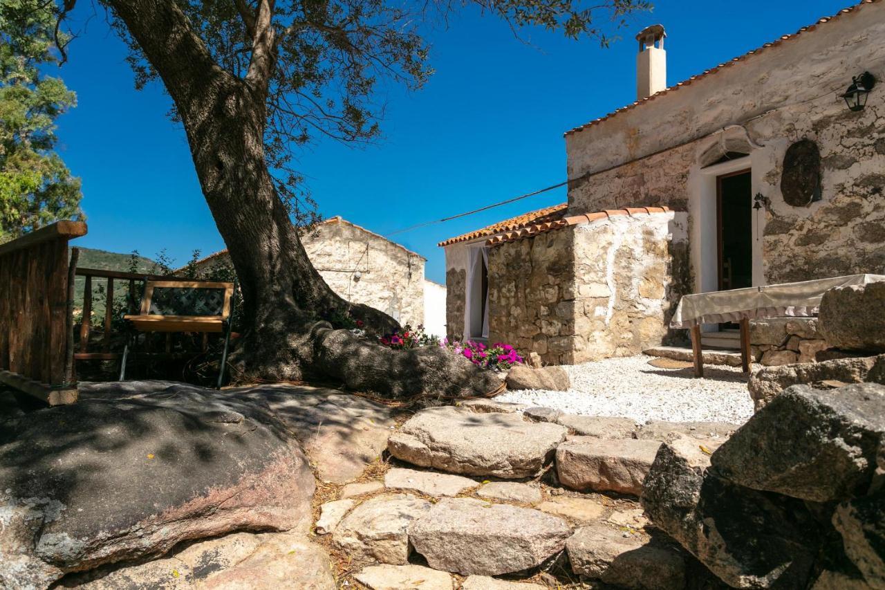 Casa Vacanza Stazzu Saiacciu 팔라우 외부 사진
